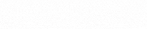 Ninth Ambition Color Logo
